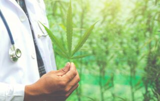 a person holding a leaf, Medical Marijuana for Pain Management in Massachusetts