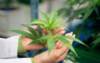 Medical Cannabis for Pneumonia, Mississippi Medical Marijuana Doctors
