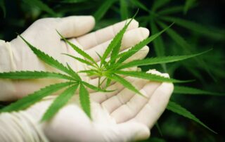 Medical Marijuana in Mississippi, Medical marijuana card, Medical Cannabis stays in body