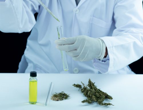 Medical Marijuana and Workplace Drug Testing: What Patients Need to Know